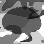 int_skills_concealment.png int_skills_concealment.png