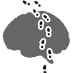 int_skills_tracking.png int_skills_tracking.png
