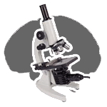 int_skills_forensic.png int_skills_forensic.png