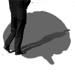 int_skills_shadowing.png int_skills_shadowing.png